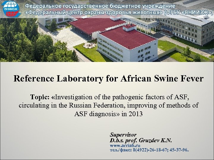 Reference Laboratory for African Swine Fever Topic: «Investigation of the pathogenic factors of ASF,