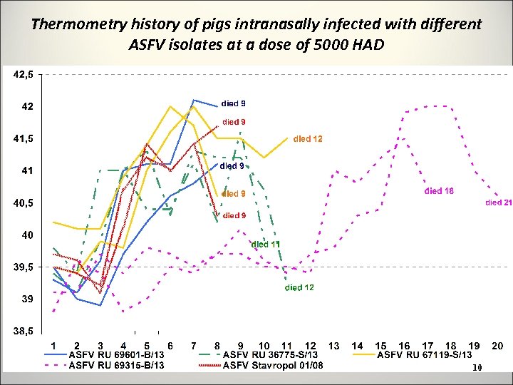 Thermometry history of pigs intranasally infected with different ASFV isolates at a dose of