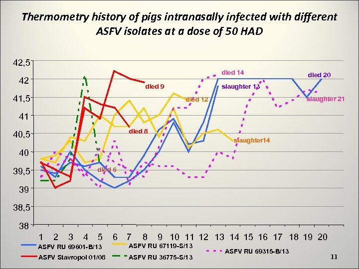 Thermometry history of pigs intranasally infected with different ASFV isolates at a dose of