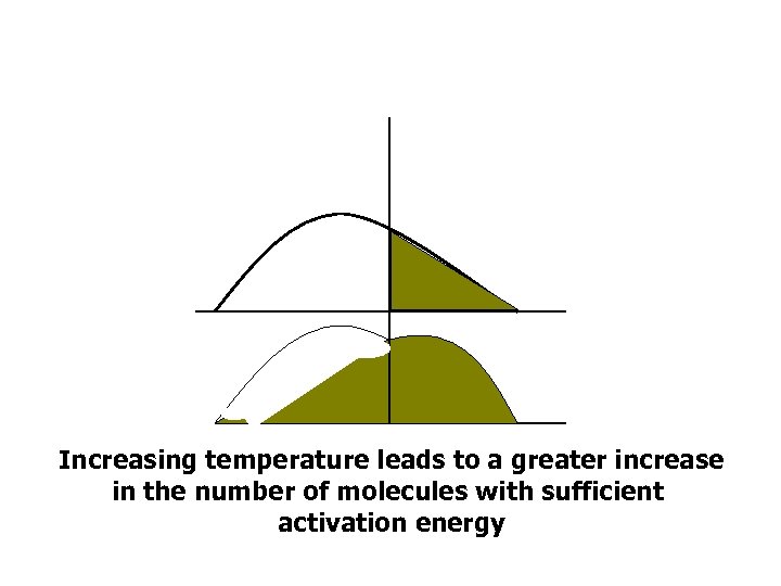 Increasing temperature leads to a greater increase in the number of molecules with sufficient