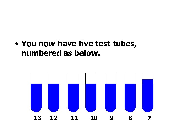  • You now have five test tubes, numbered as below. 13 12 11