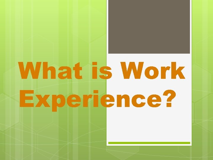 What is Work Experience? 