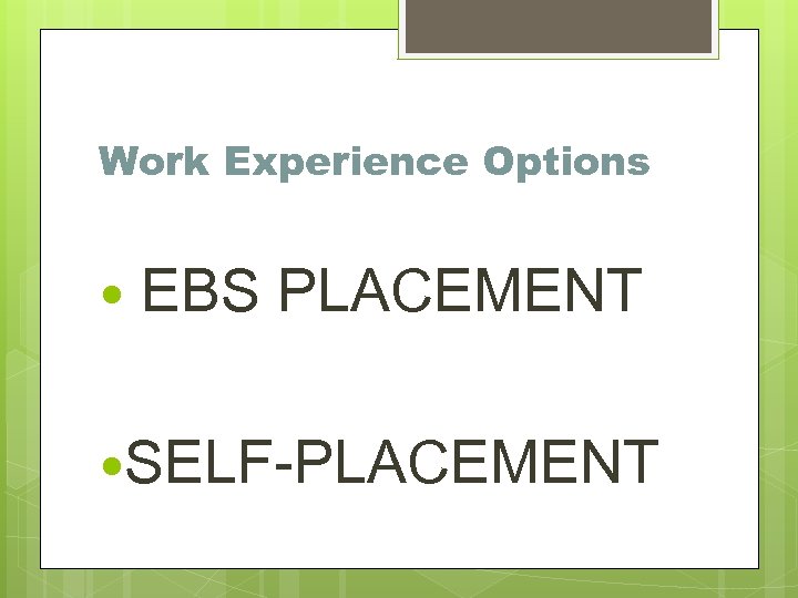 Work Experience Options EBS PLACEMENT SELF-PLACEMENT 