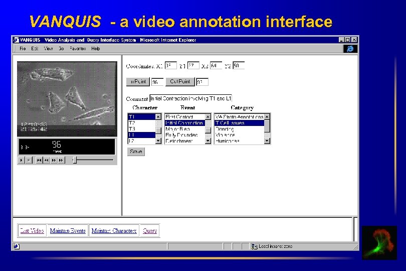 VANQUIS - a video annotation interface 