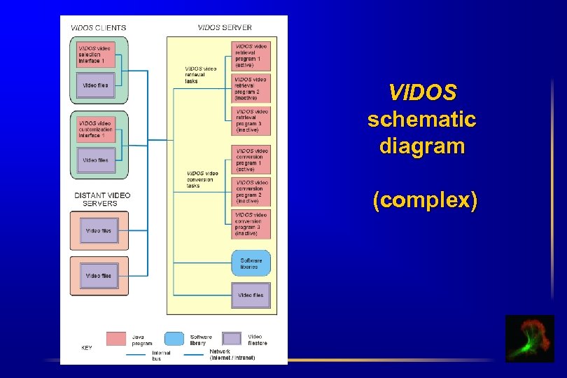 VIDOS schematic diagram (complex) 