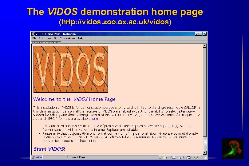 The VIDOS demonstration home page (http: //vidos. zoo. ox. ac. uk/vidos) 