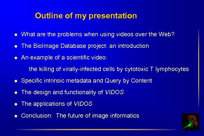 Outline of my presentation l What are the problems when using videos over the