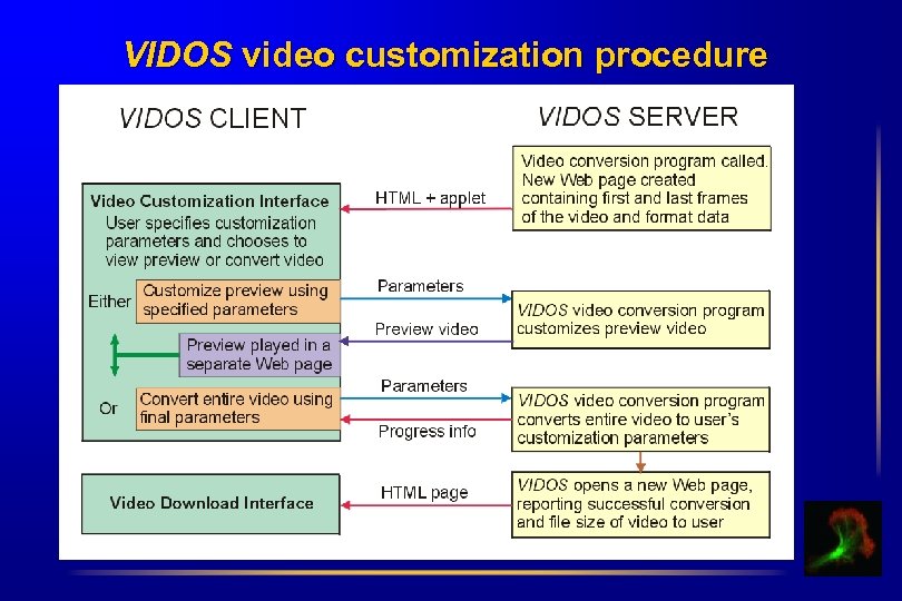 VIDOS video customization procedure 