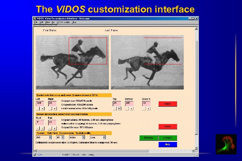 The VIDOS customization interface 