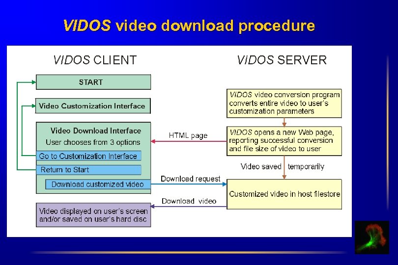 VIDOS video download procedure 