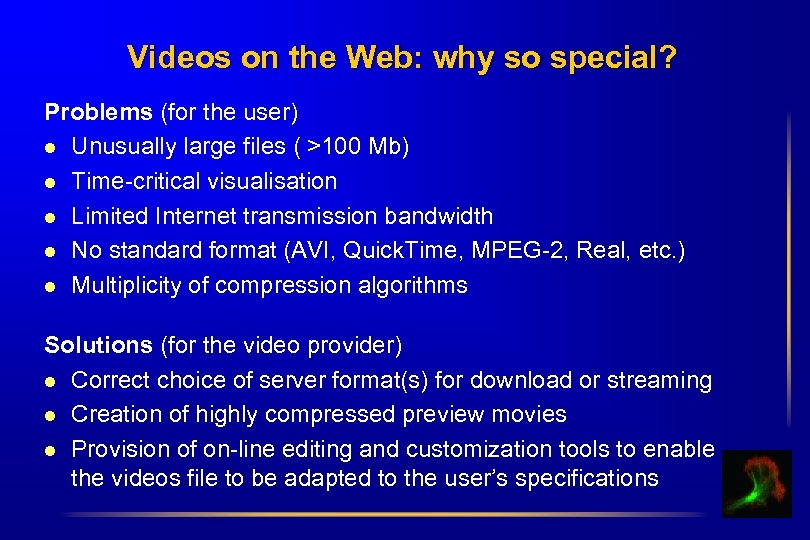 Videos on the Web: why so special? Problems (for the user) l Unusually large