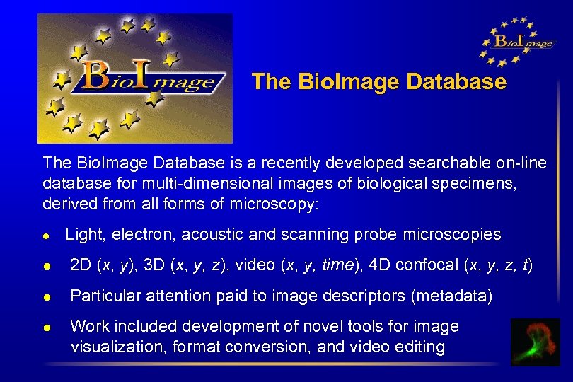 The Bio. Image Database is a recently developed searchable on-line database for multi-dimensional images