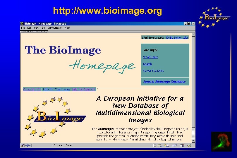 http: //www. bioimage. org 