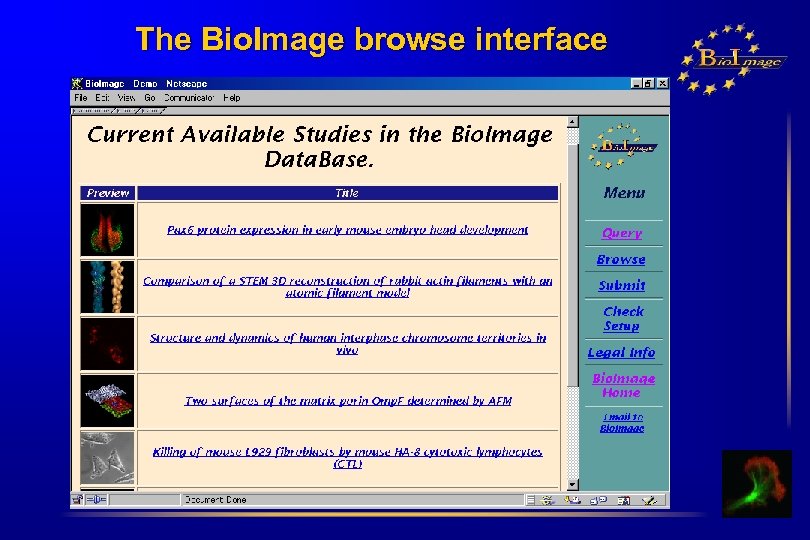 The Bio. Image browse interface 