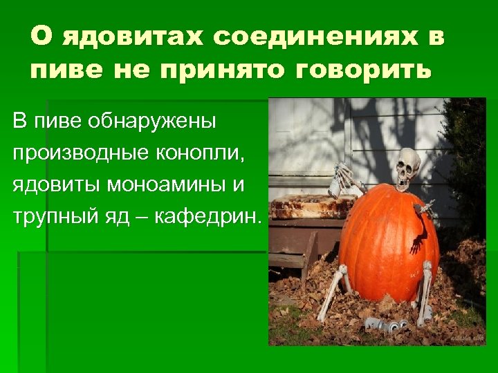 О ядовитах соединениях в пиве не принято говорить В пиве обнаружены производные конопли, ядовиты