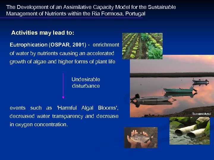 The Development of an Assimilative Capacity Model for the Sustainable Management of Nutrients within
