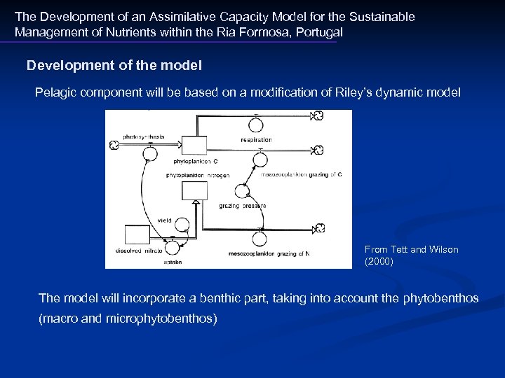 The Development of an Assimilative Capacity Model for the Sustainable Management of Nutrients within