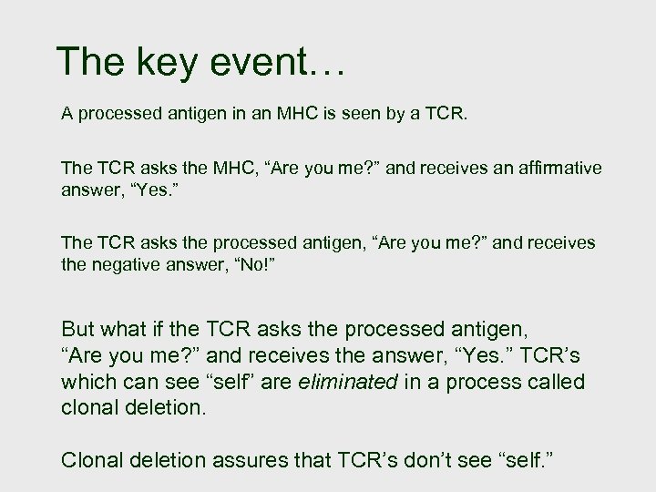 The key event… A processed antigen in an MHC is seen by a TCR.