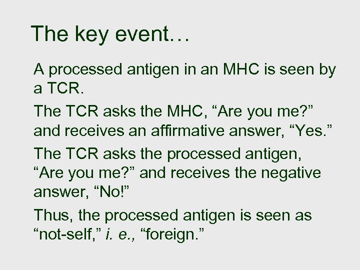 The key event… A processed antigen in an MHC is seen by a TCR.