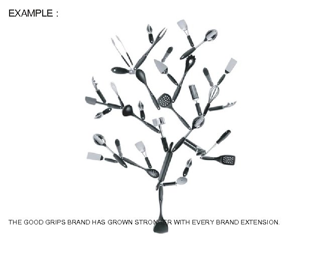 EXAMPLE : THE GOOD GRIPS BRAND HAS GROWN STRONGER WITH EVERY BRAND EXTENSION. 