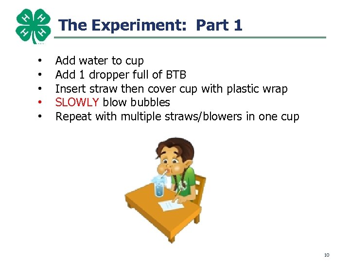 The Experiment: Part 1 • • • Add water to cup Add 1 dropper