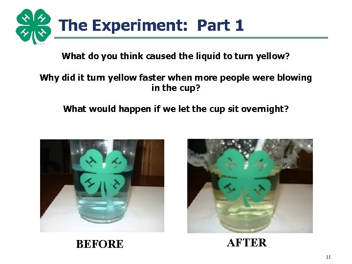 The Experiment: Part 1 What do you think caused the liquid to turn yellow?