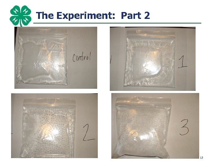 The Experiment: Part 2 13 