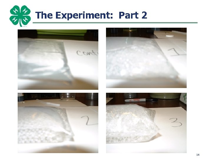 The Experiment: Part 2 14 