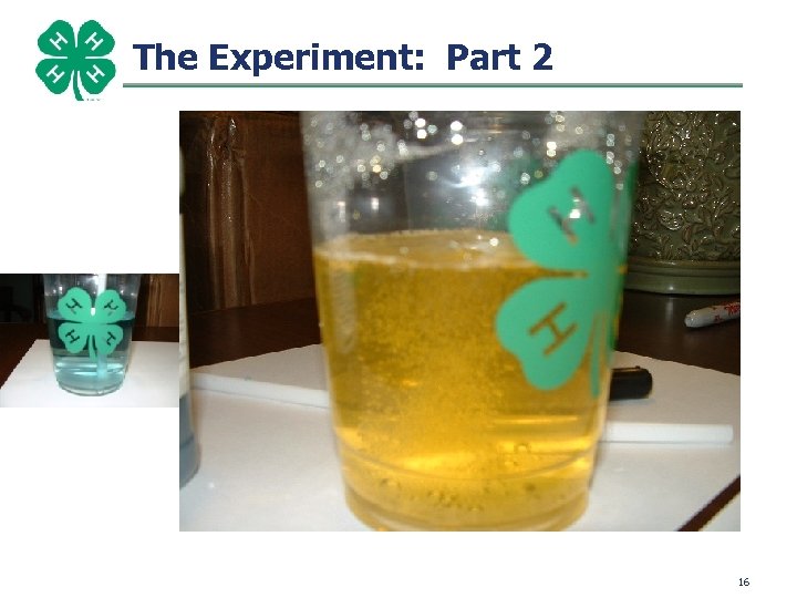 The Experiment: Part 2 16 