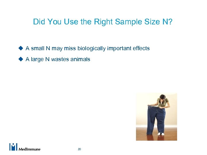 Did You Use the Right Sample Size N? u A small N may miss
