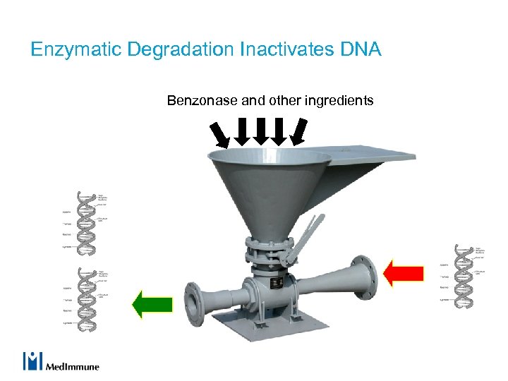 Enzymatic Degradation Inactivates DNA Benzonase and other ingredients 