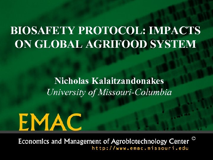 BIOSAFETY PROTOCOL: IMPACTS ON GLOBAL AGRIFOOD SYSTEM Nicholas Kalaitzandonakes University of Missouri-Columbia © 