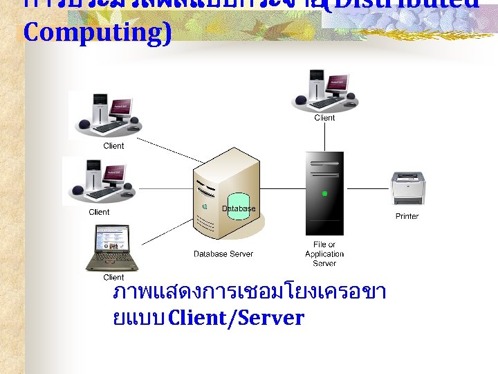 การประมวลผลแบบกระจาย(Distributed Computing) ภาพแสดงการเชอมโยงเครอขา ยแบบ Client/Server 