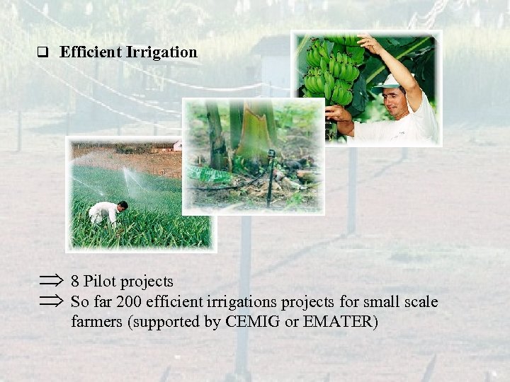 q Efficient Irrigation Þ 8 Pilot projects Þ So far 200 efficient irrigations projects