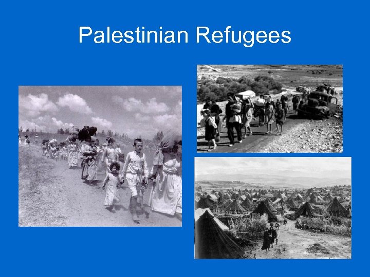 Palestinian Refugees 