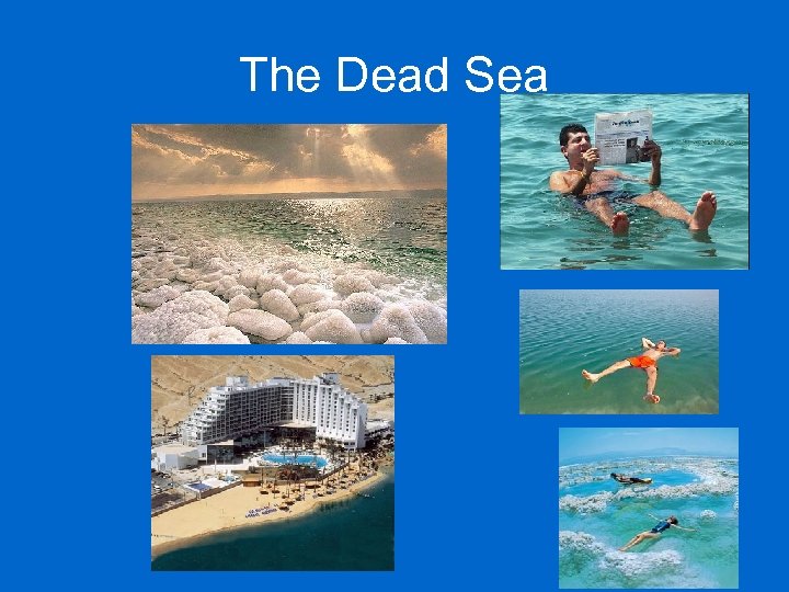 The Dead Sea 