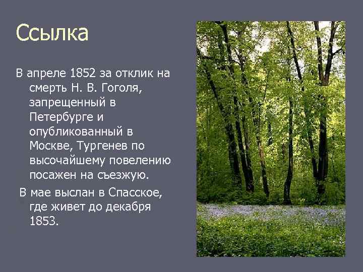 Ссылка В апреле 1852 за отклик на смерть Н. В. Гоголя, запрещенный в Петербурге