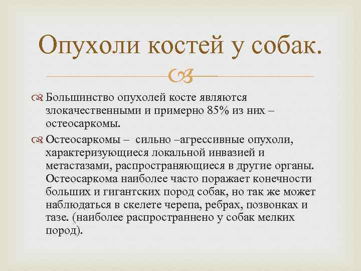 Опухоли костей у собак. Большинство опухолей косте являются злокачественными и примерно 85% из них