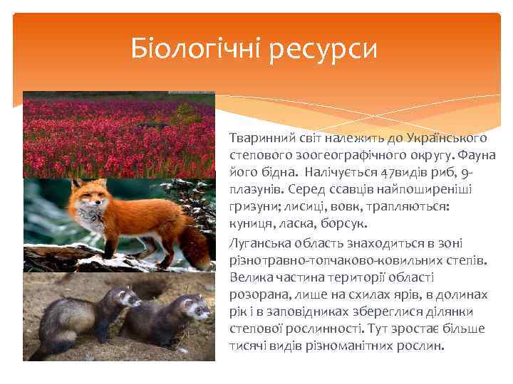 Біологічні ресурси Тваринний світ належить до Українського степового зоогеографічного округу. Фауна його бідна. Налічується