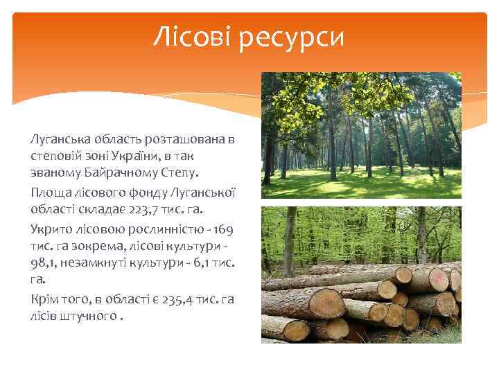 Лісові ресурси Луганська область розташована в степовій зоні України, в так званому Байрачному Степу.