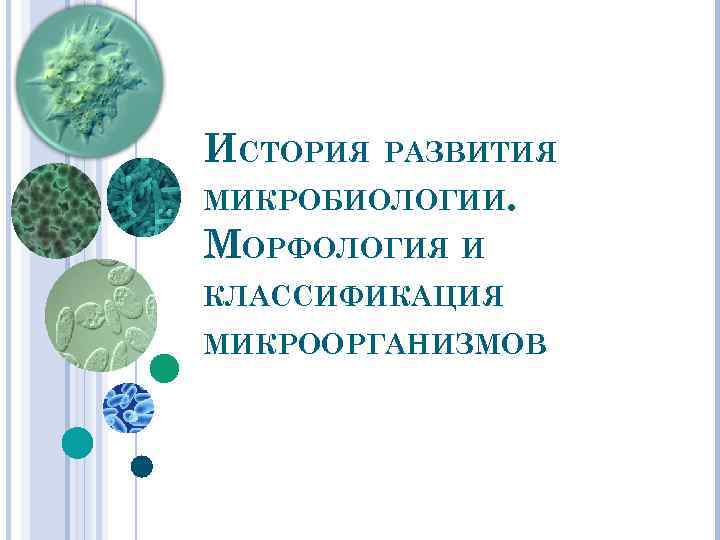 ИСТОРИЯ РАЗВИТИЯ МИКРОБИОЛОГИИ. МОРФОЛОГИЯ И КЛАССИФИКАЦИЯ МИКРООРГАНИЗМОВ 