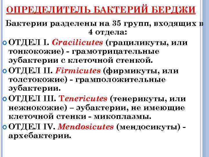 ОПРЕДЕЛИТЕЛЬ БАКТЕРИЙ БЕРДЖИ Бактерии разделены на 35 групп, входящих в 4 отдела: ОТДЕЛ I.