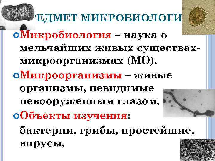 ПРЕДМЕТ МИКРОБИОЛОГИИ Микробиология – наука о мельчайших живых существахмикроорганизмах (МО). Микроорганизмы – живые организмы,