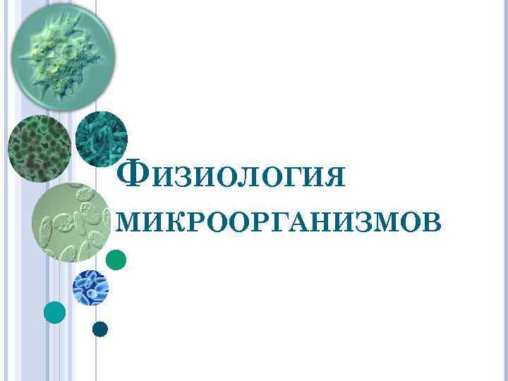 ФИЗИОЛОГИЯ МИКРООРГАНИЗМОВ 