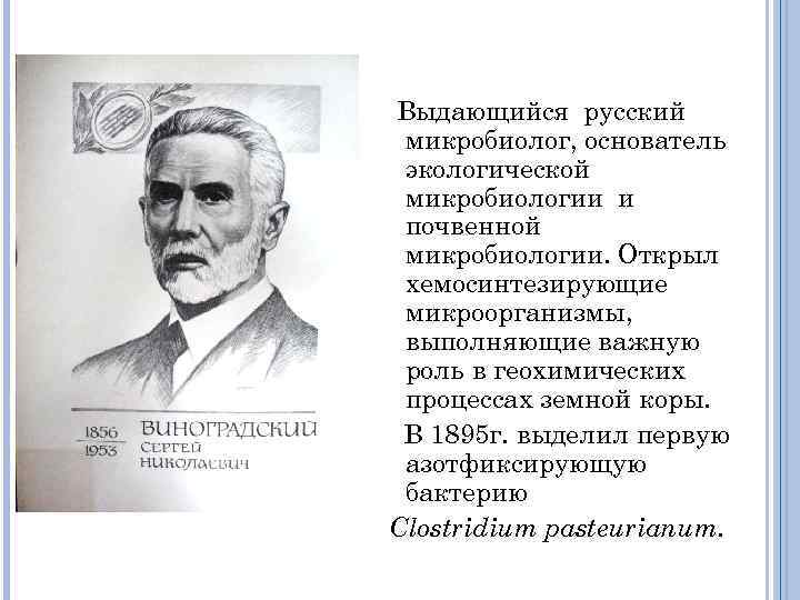 Выдающийся русский микробиолог, основатель экологической микробиологии и почвенной микробиологии. Открыл хемосинтезирующие микроорганизмы, выполняющие важную