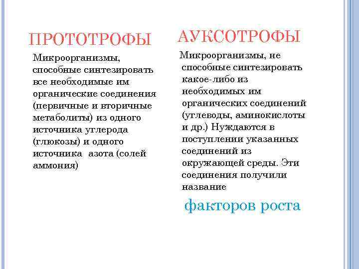 ПРОТОТРОФЫ Микроорганизмы, способные синтезировать все необходимые им органические соединения (первичные и вторичные метаболиты) из