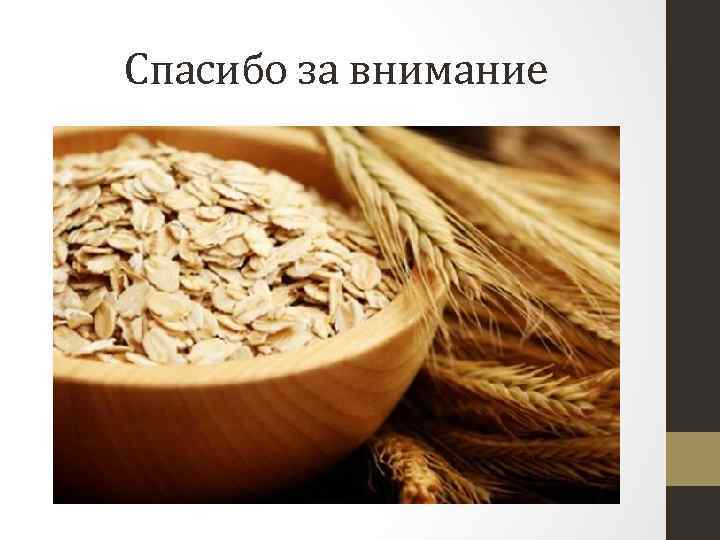 Спасибо за внимание 