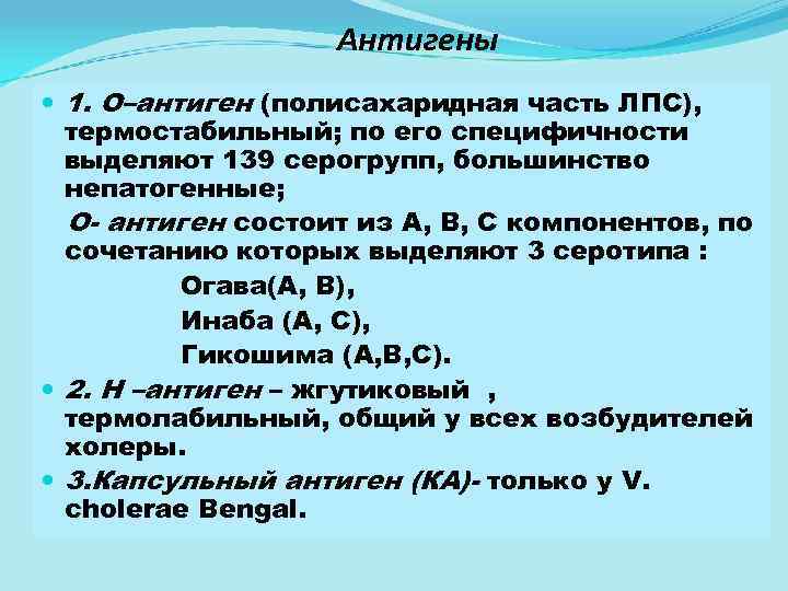Антигены 1. О–антиген (полисахаридная часть ЛПС), термостабильный; по его специфичности выделяют 139 серогрупп, большинство