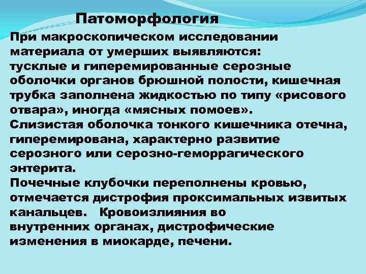 Патоморфология При макроскопическом исследовании материала от умерших выявляются: тусклые и гиперемированные серозные оболочки органов