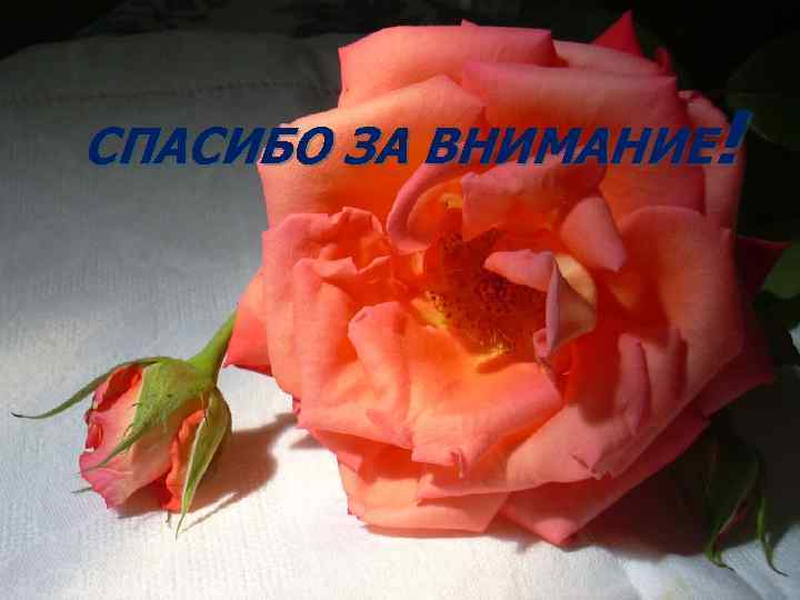 6. Инфекционные болезни: учеб. для студентов мед. вузов под ред. Н. Д. Ющука, Ю.